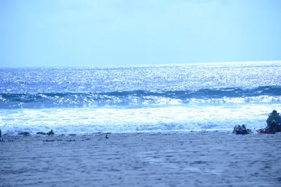 DSC_5004 (Large).JPG